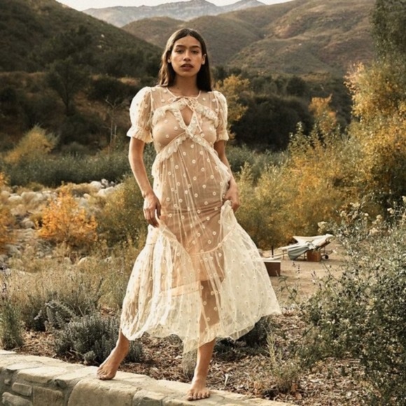 Doen Dresses & Skirts - DOEN Zelda Daisy Print Embroidered Sheer Maxi Dress